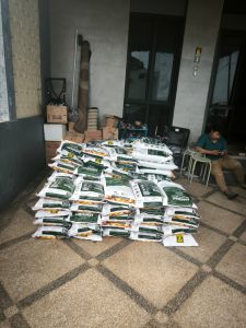 WhatsApp Image 2025-10-29 at 13.16.00